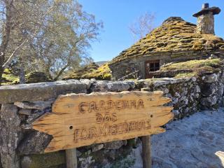 Cardenha das Formiguinhas - 9