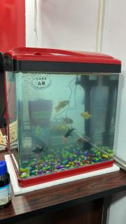 SSS service apartments - 3