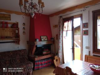 Lo scoiattolo- Altopiano Asiago-Gallio- Contrada Leghen - 8