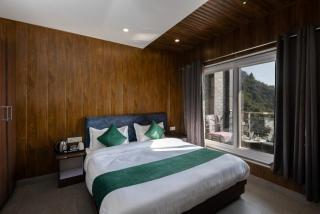 Hotel Park Royale Near Jaypee Manor - 1
