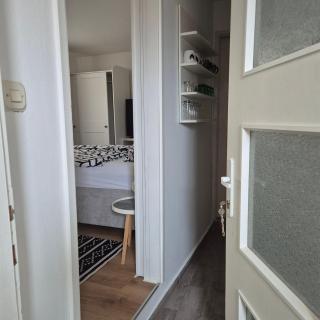 Roko Apartments - 5