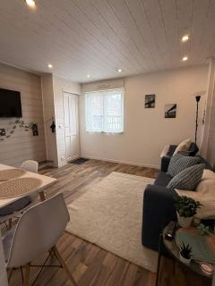 Nid Alsacien Cosy et Climatisé - 9