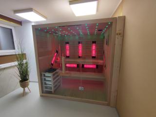 VIP Wellness apartma Immortality - 3