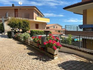 Holihome Vascello A0-1 - 1