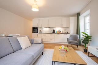 Special TOP LUX 12 Apartment, Top Lage!!! Luxuriös!!! Ruhig!!! Rheinufer!!! Altstadt Kleinbasel 10-STAR - 5