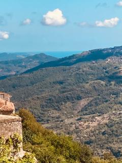 Suite Apartment ROCHA -11 - 5