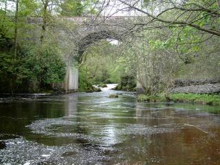 Bridge of Cally Hotel - Blairgowrie - 6