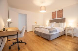Special TOP LUX 22 Apartment, Top Lage!!! Luxuriös!!! Ruhig!!! Rheinufer!!! Altstadt Kleinbasel 10-STAR - 7