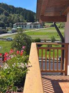 Bilocale baciato dal sole - 7