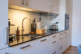 Special TOP LUX 14 Apartment, Top Lage!!! Luxuriös!!! Ruhig!!! Rheinufer!!! Altstadt Kleinbasel 10-STAR - 1