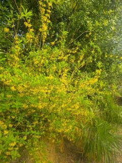 Sani's twins cottege - 9