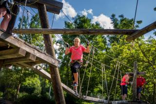 Arnika - Blatten bei Naters - 2