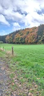 Ferienhaus am Rad- und Wanderweg - 2