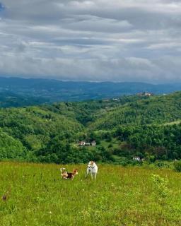 Kuća za odmor Rudnik - 9