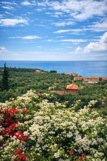 Papanestoras Apartments - 6