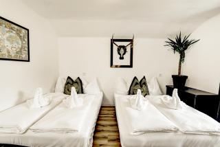 Das Bergnest Maishofen - 3