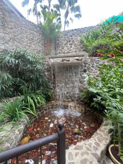 Palacio Tropical - 7