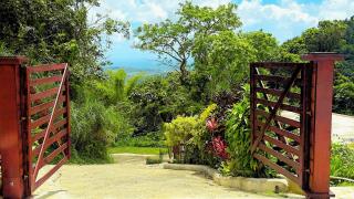 Finca Ki' - Eco Farm Stay Bed & Breakfast - El Yunque Region - 9