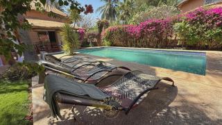 Agence Adjana Resort - Résidence SAFARI VILLAGE - 2