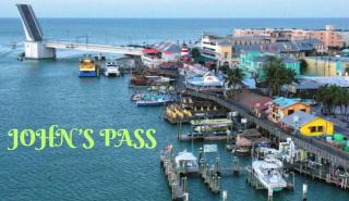 Tropical YardHeated PoolFirepitGame roomBeach - 4