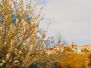 Lo Scorcio su Sovicille - 9