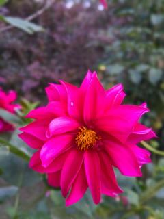 Pousada Medeiros - 3