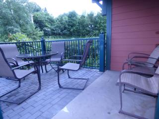 Lodge style getaway 50 miles from NYC patio 207 - 1