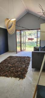 Pedronella House - 8