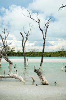 Kite House Barreiras - 7