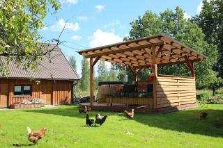 Peaceful Nature Escape Among Farm Animals - 3