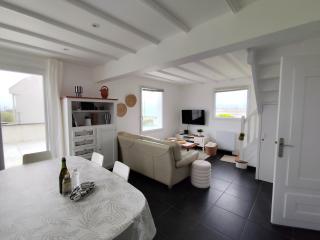 Maison Sable Doré accès direct plage Vue panoramique mer - 2