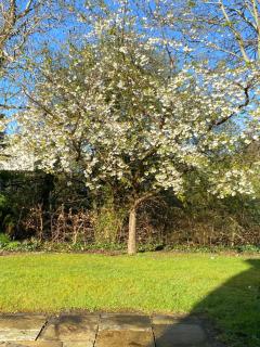 Deerpark Manor Bed and Breakfast - 3