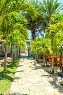 Bungalows Spilberg - 4