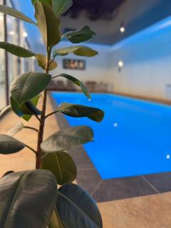 All Seasons Pool Resort - 5