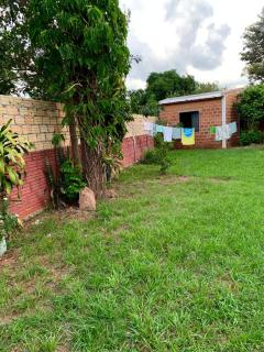 The Mango House - 2