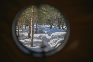 Anima Resort Aghveran - Forest Retreat - 4