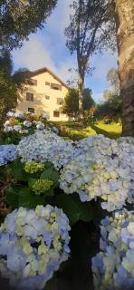 Dum Hory a 2,5 km do centrinho - 9