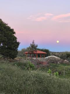 Tapada das Carvalhas - 7