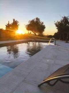 Tapada das Carvalhas - 5