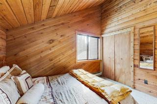 Adventurous McCall Cabin Near Payette Lake - 2