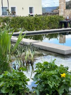 Agriturismo Corte Cea - 5