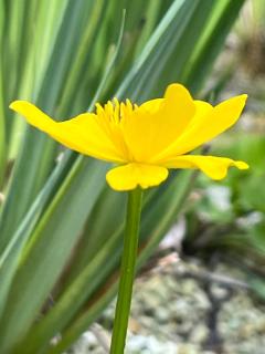 Agriturismo Corte Cea - 2