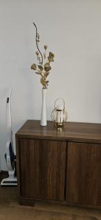 Apartament Wiśniowy Ogród z garażem - 4