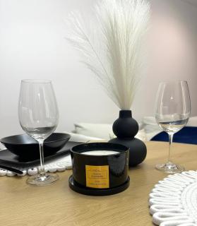 Luxury Apartment with Garden Krakow - 8