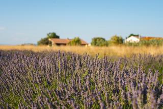 Agriturismo Corte degli Angeli - 4