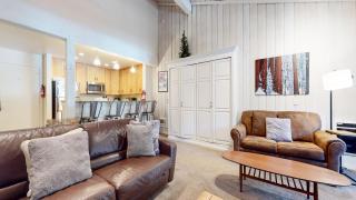 Summit #48 condo - 3