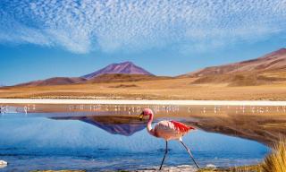 Hostal Terra Sal - Bed, Breakfast, Garage & Salar de Uyuni Tours - 7