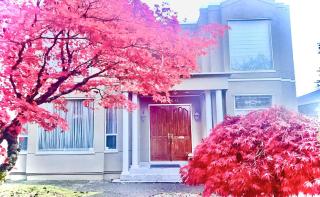 Vancouver most cost effective comfortable luxurious, and quiet room, with a private bathroom - 4