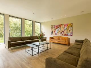 Villa with Heated Pool, Sauna - 1