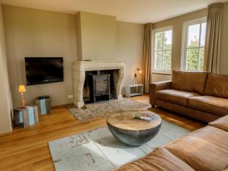 Achterhoek Estate with Private Pool - 1